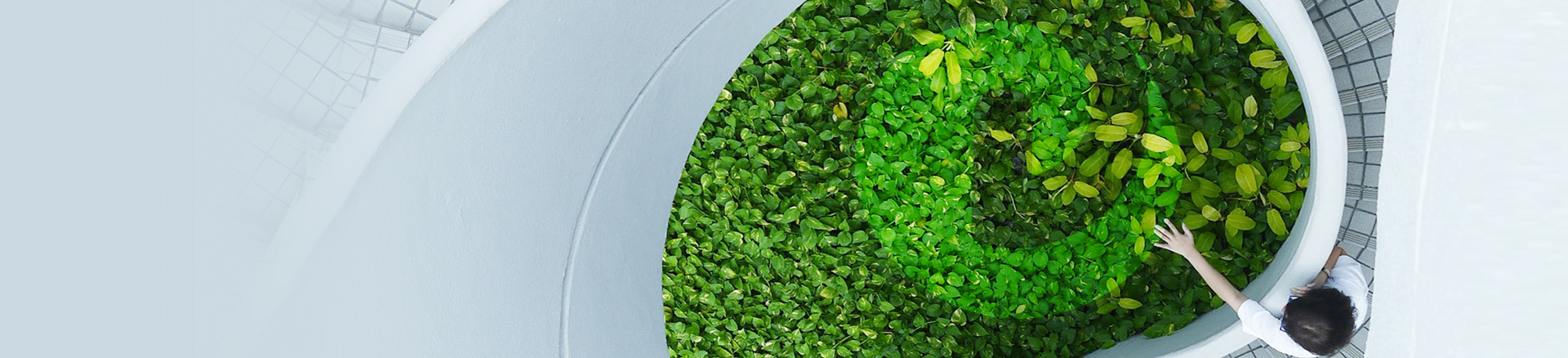 开云（中国）官方